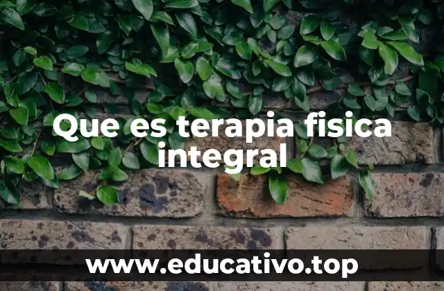 Que es terapia fisica integral