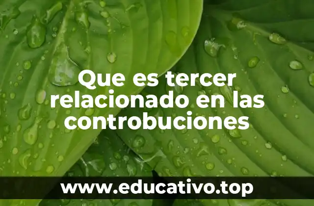 Que es tercer relacionado en las controbuciones