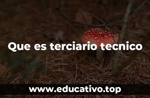 Que es terciario tecnico