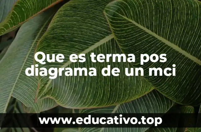 Que es terma pos diagrama de un mci