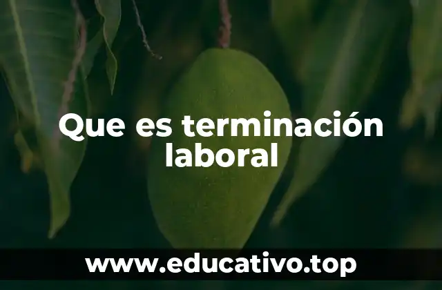 Tipos de terminación laboral