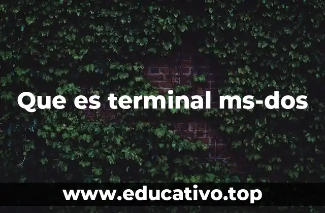Que es terminal ms-dos