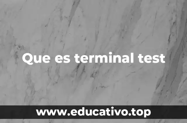 Que es terminal test