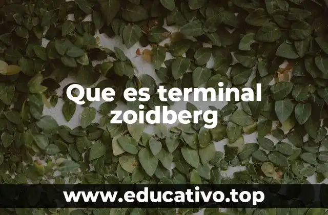 Que es terminal zoidberg