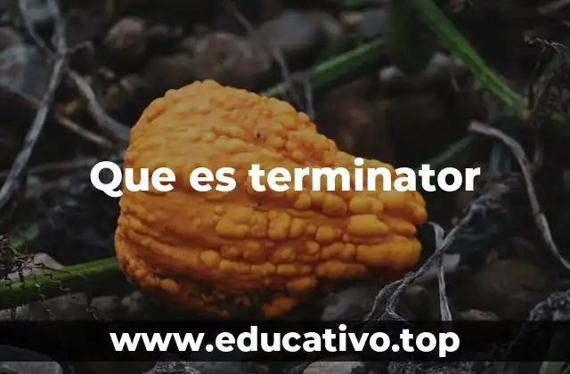 Que es terminator