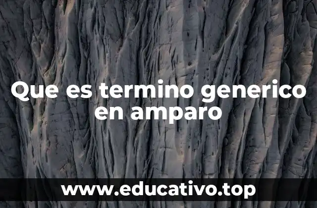 La importancia del lenguaje jurídico en el amparo