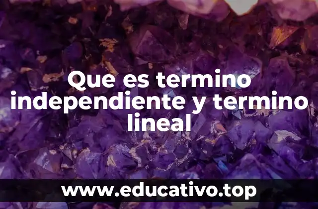 Que es termino independiente y termino lineal