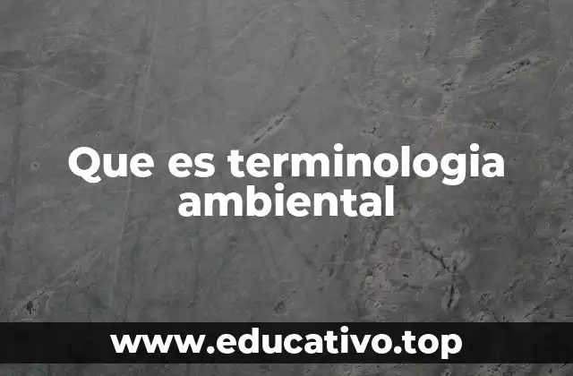 Que es terminologia ambiental
