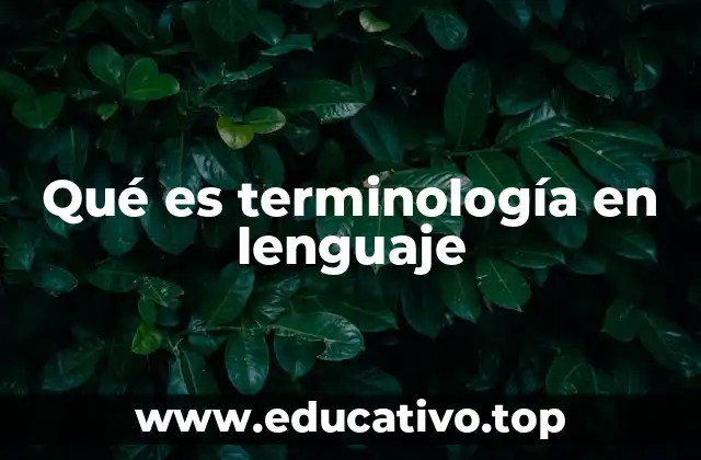 Qué es terminología en lenguaje