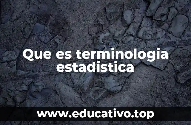 Que es terminologia estadistica