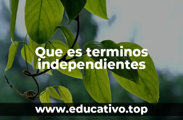 Que es terminos independientes