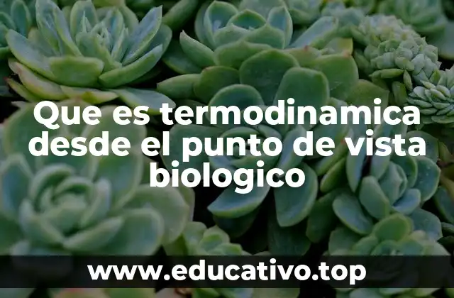 Que es termodinamica desde el punto de vista biologico