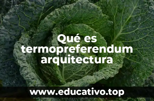 Qué es termopreferendum arquitectura