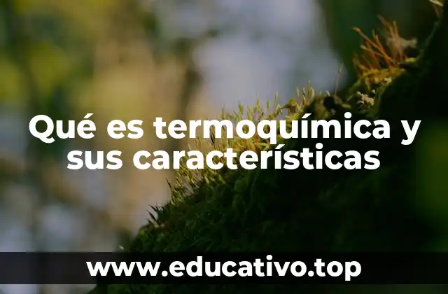 Qué es termoquímica y sus características