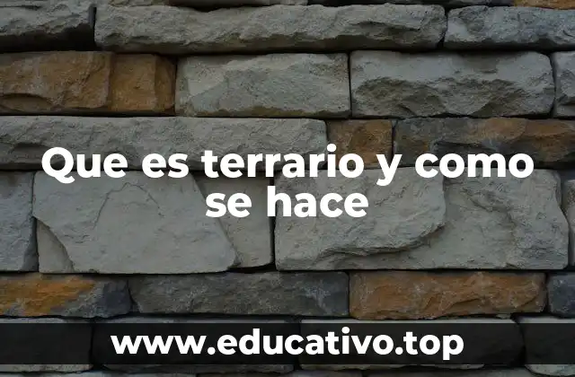 Que es terrario y como se hace