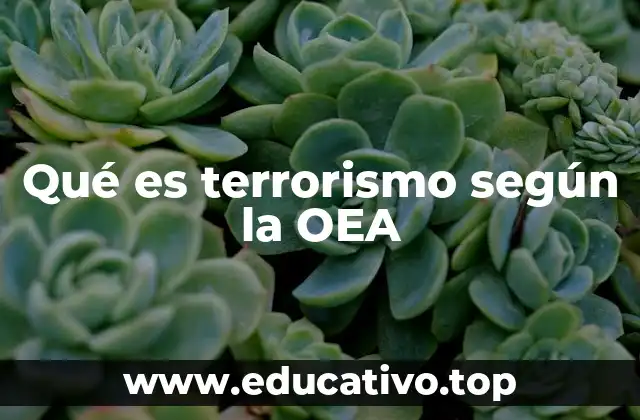 Qué es terrorismo según la OEA