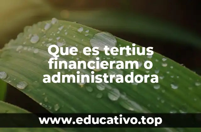 Que es tertius financieram o administradora