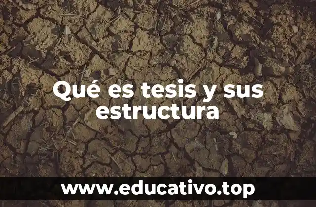 Qué es tesis y sus estructura