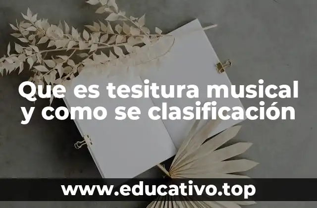 Que es tesitura musical y como se clasificación