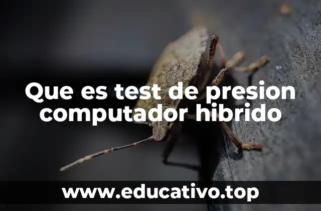 Que es test de presion computador hibrido