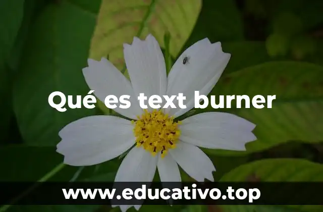Qué es text burner