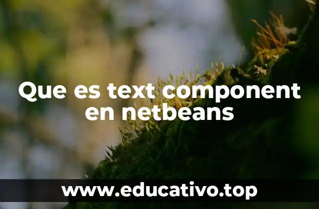 Que es text component en netbeans