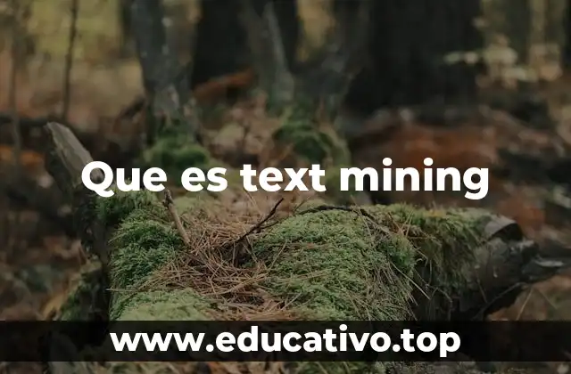 Que es text mining
