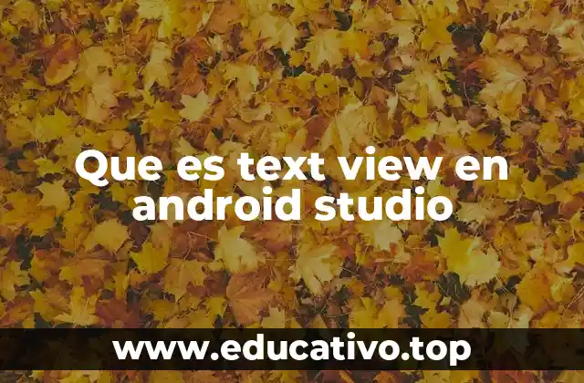 Que es text view en android studio