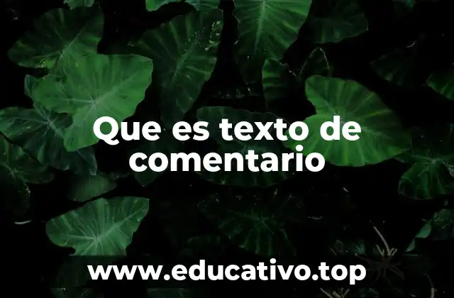 Que es texto de comentario
