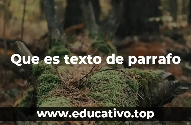 Que es texto de parrafo