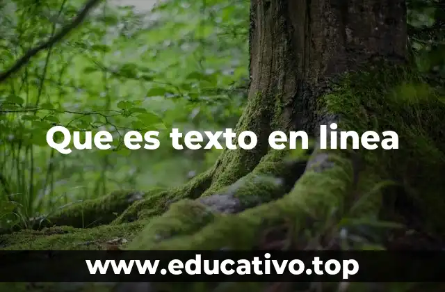Que es texto en linea
