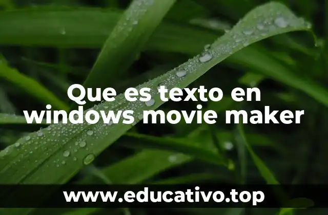 Que es texto en windows movie maker