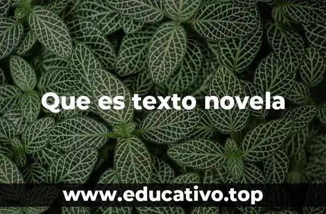 Que es texto novela