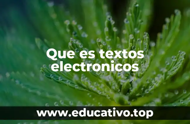 Que es textos electronicos