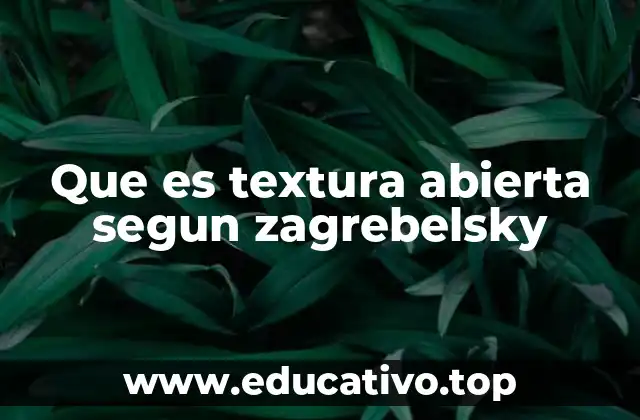 Que es textura abierta segun zagrebelsky