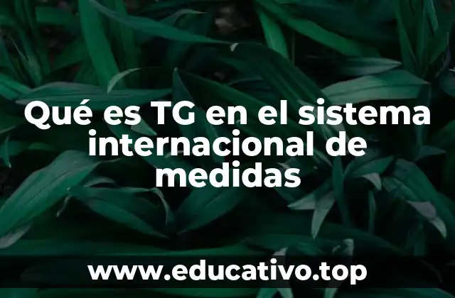 Qué es TG en el sistema internacional de medidas