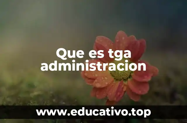 Que es tga administracion