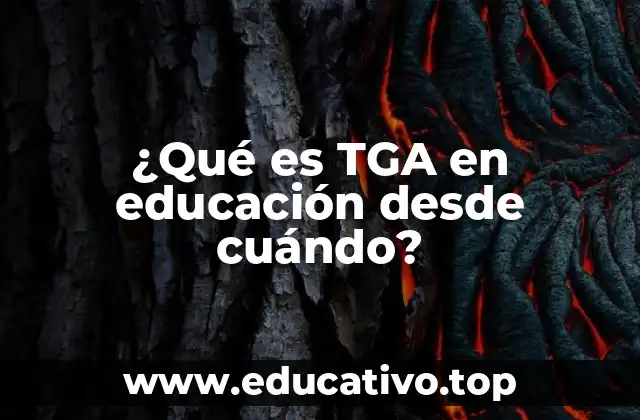 ¿Qué es TGA en educación desde cuándo?