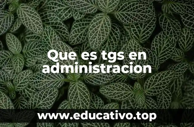 Que es tgs en administracion