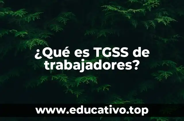 ¿Qué es TGSS de trabajadores?