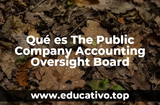 Qué es The Public Company Accounting Oversight Board