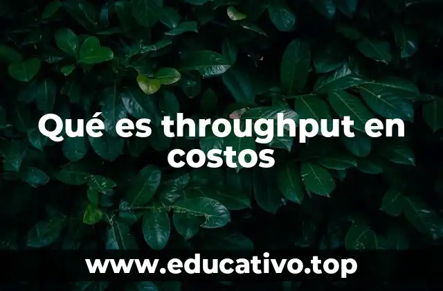Qué es throughput en costos