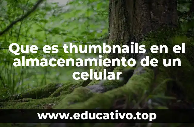 Que es thumbnails en el almacenamiento de un celular