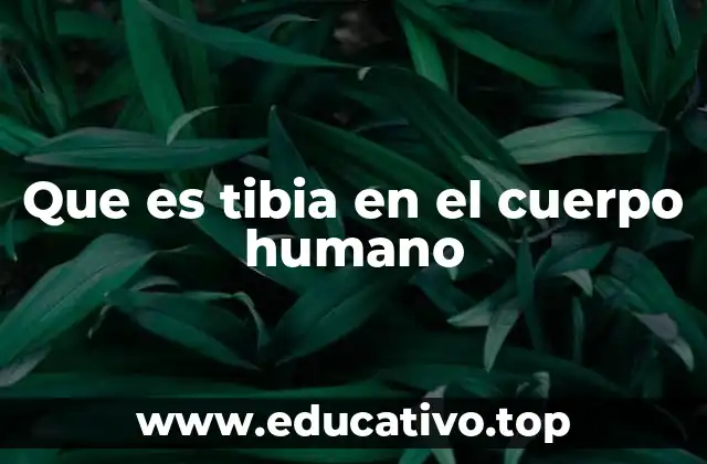 Que es tibia en el cuerpo humano