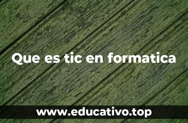 Que es tic en formatica