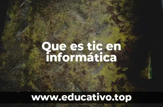 Que es tic en informática