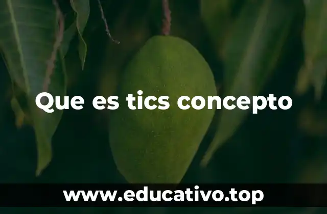 Que es tics concepto