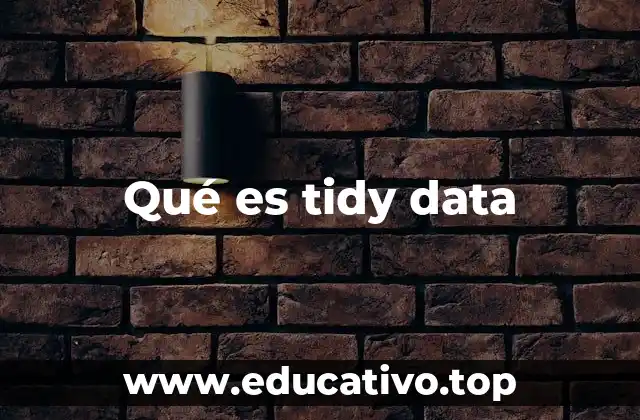 Qué es tidy data