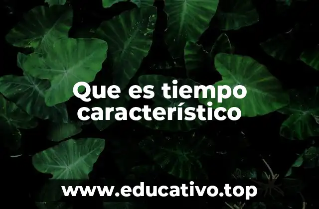 Que es tiempo característico