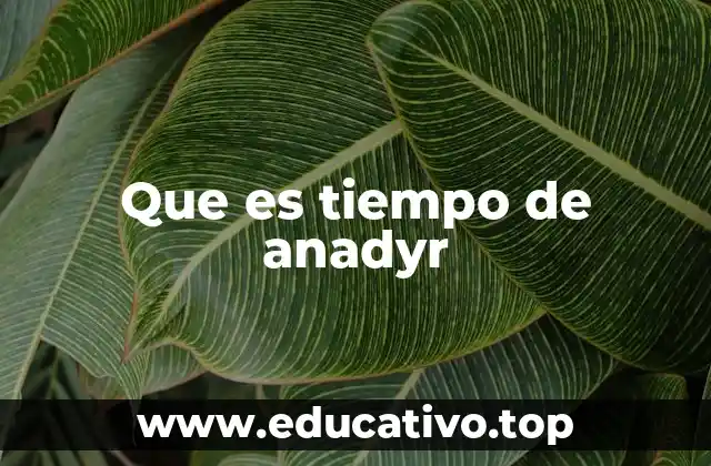 Que es tiempo de anadyr